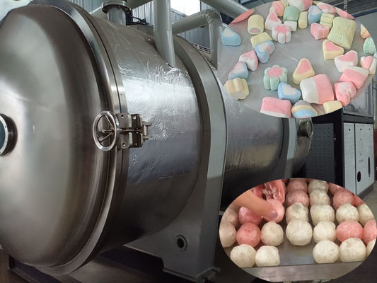 工業用食品冷凍乾燥機 500kg 食品加工用大型冷凍機