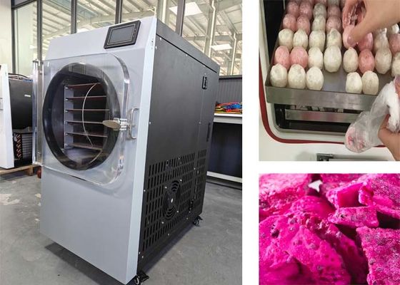 PLC制御システム 家庭用304ステンレス鋼冷凍乾燥機