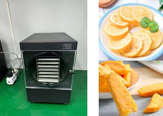 10~20KG ビッツァ 冷却システム 家庭用冷凍乾燥機