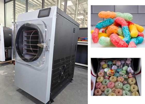 キャンディー フリースドライヤー 購入 チョコレート アイスクリーム フリースドライヤー 6KG 容量