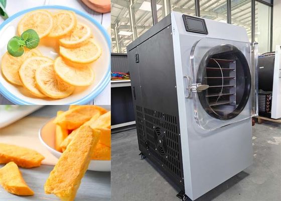 電気暖房 家庭用304ステンレス 食品冷凍乾燥機