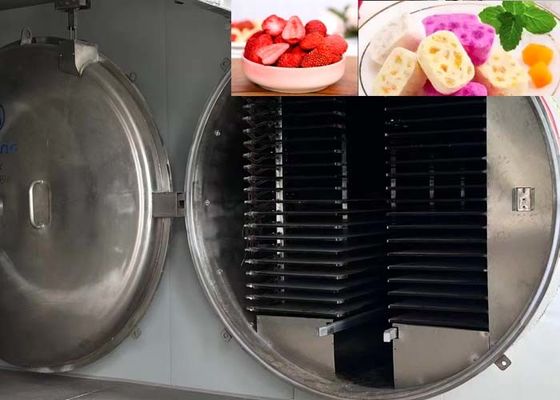 100kg Industrial Food Freeze Dryer High Capacity Lyophilizer for Food