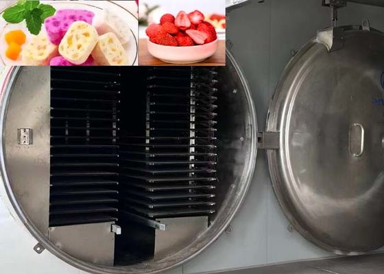 高容量産業用冷凍乾燥機 1000kg/パッチ 13Pa 真空レベル