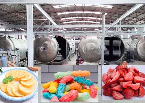 医薬品 1000Kg 真空冷凍乾燥機 先進的な乾燥技術
