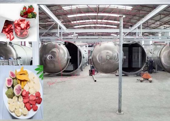 1000Kg パワフル バキュム冷凍乾燥機 工業用