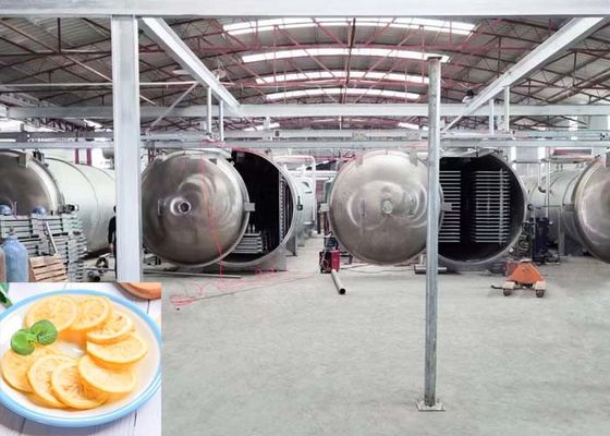 大型工業用冷凍乾燥機 1000kg/ lote 容量