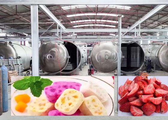 1000KG 大きい冷凍乾燥機 20-24H 精密な乾燥結果のために