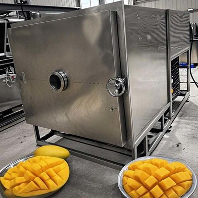 果物 野菜 冷凍乾燥機 商業用冷凍機 100kg 容量