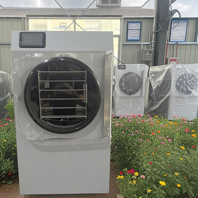 高級コンパクト技術 20kg 小型家庭用 冷凍乾燥機 新鮮性 省エネ ミニ 日常使用