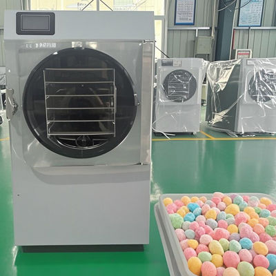 6KG 10KG 20KG 速乾 小型冷凍乾燥機 瞬時食品保存 空間節約