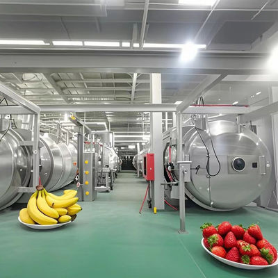 重量冷凍機 500kg 工業用冷凍乾燥機 果物/野菜/コーヒー/海産物