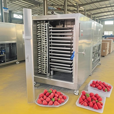 200kgバッチ凍結乾燥機 肉/果物脱水用自動制御
