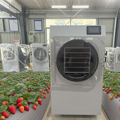6kg パイロット冷凍乾燥機 触覚画面PLCによる小批量生産へ