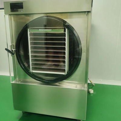‌304 Stainless Steel Lyophilizer with Bosch Vacuum Pump - Pharma-Grade Freeze Dryer