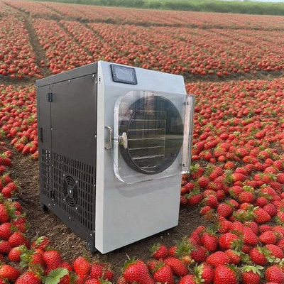 304ステンレス鋼＆Boschポンプ搭載の業務用凍結乾燥機 - 高効率フリーズドライヤー