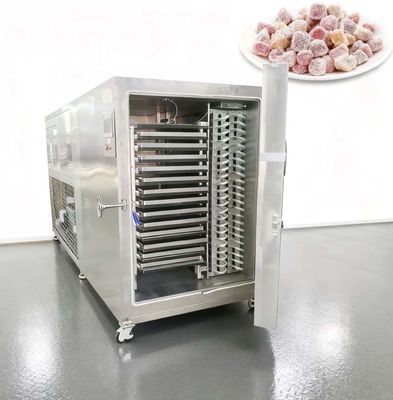 High-Capacity 100KG Freeze Dryer - Energy Efficient Industrial Lyophilizer with Low Operating Costs