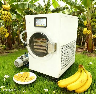 健康的なスナック 簡単 収穫権のある冷凍乾燥果物 ヨーグルト&その他 添加物なし 完全制御