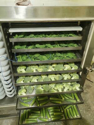 工業用電気ヒーター式凍結乾燥機、チャンバーサイズ12700x2600x3300mm、乾燥時間20～24時間、工業用途に最適