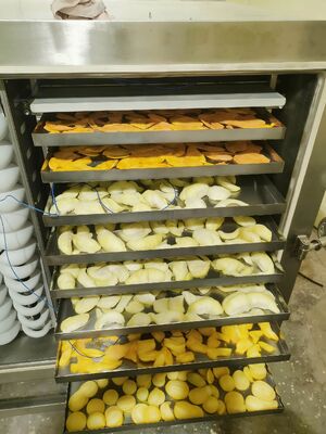 冷蔵庫 冷凍乾燥機 定位電源 200KW 製薬食品および化学産業用冷凍乾燥設備