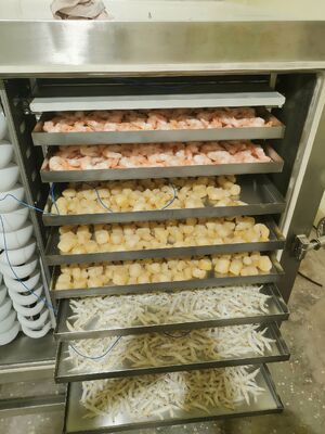 医薬品、食品、化学製品の保存に最適な、バッチ容量1000kgの自動工業用凍結乾燥機