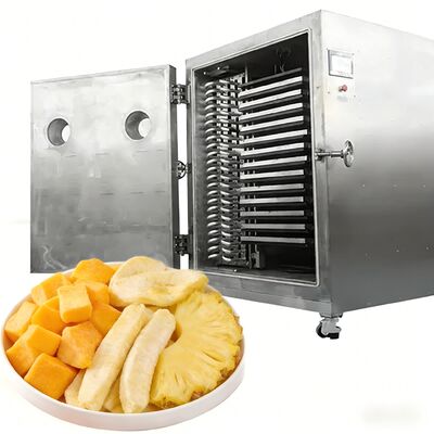 100Kg 200Kg 大容量の冷凍冷凍乾燥機