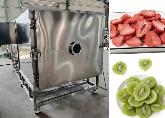 真空度≤10Pa 食品真空冷冻干燥机，配备博斯或比泽尔真空泵，为食品工业提供冷冻干燥