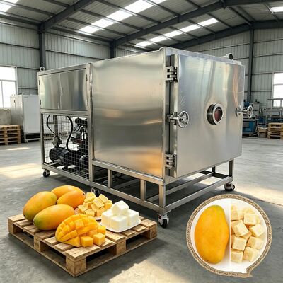 304ステンレス鉄 トレイ素材 野菜冷凍乾燥機 自動操作モードを提供 冷凍乾燥性能を確保