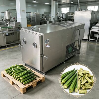 13 層またはカスタマイズ トレイ素材の野菜冷凍乾燥機 304ステンレス鋼 温度範囲 マイナス50〜プラス50 センチメートル